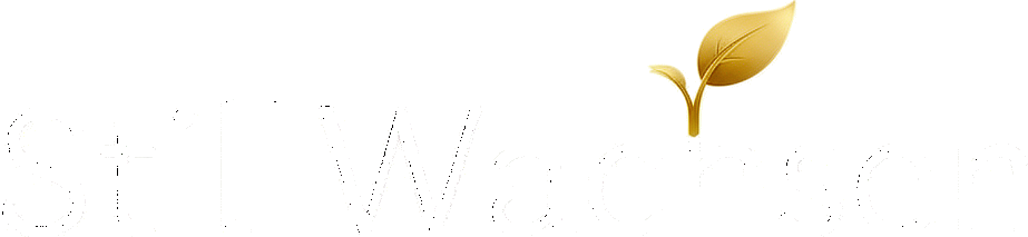 StillWachsen
